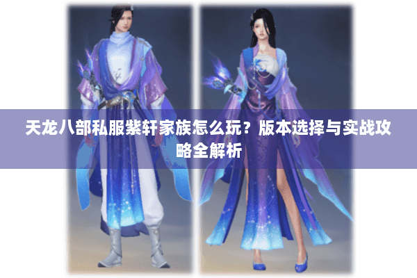 天龙八部私服紫轩家族怎么玩？版本选择与实战攻略全解析