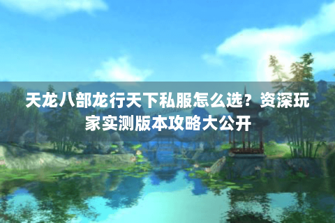 天龙八部龙行天下私服怎么选？资深玩家实测版本攻略大公开