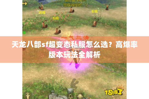天龙八部sf超变态私服怎么选？高爆率版本玩法全解析