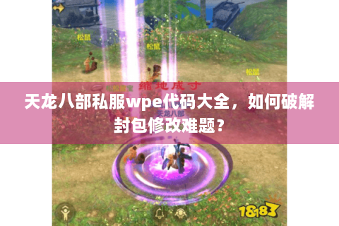 天龙八部私服wpe代码大全，如何破解封包修改难题？