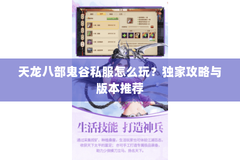 天龙八部鬼谷私服怎么玩？独家攻略与版本推荐