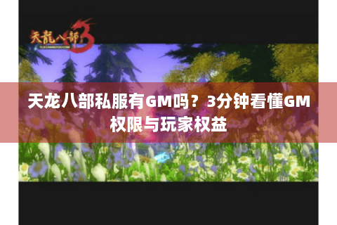 天龙八部私服有GM吗？3分钟看懂GM权限与玩家权益