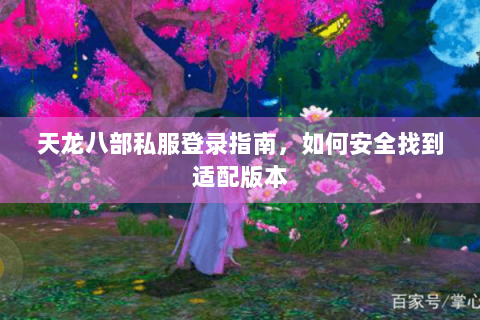 天龙八部私服登录指南，如何安全找到适配版本