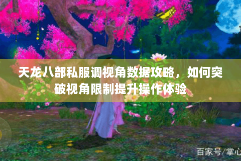 天龙八部私服调视角数据攻略，如何突破视角限制提升操作体验