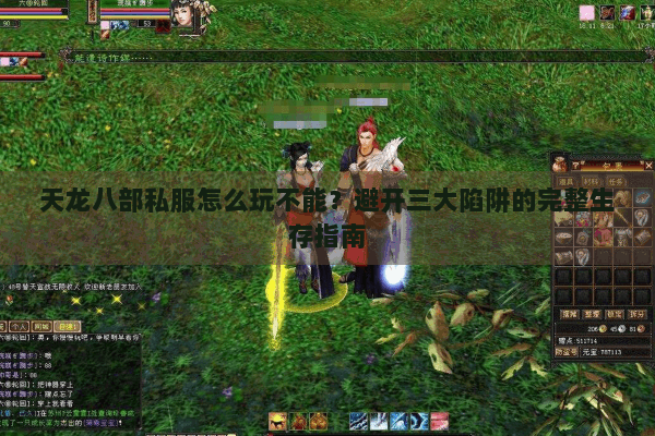天龙八部私服怎么玩不能？避开三大陷阱的完整生存指南