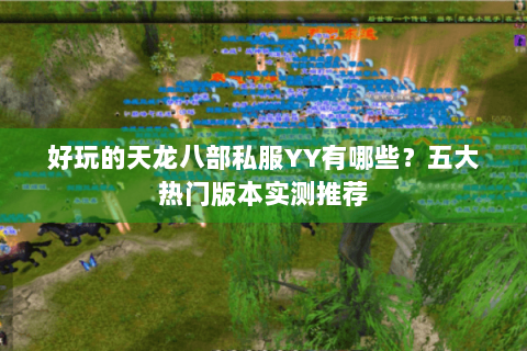 好玩的天龙八部私服YY有哪些？五大热门版本实测推荐