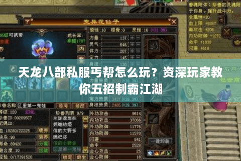 天龙八部私服丐帮怎么玩？资深玩家教你五招制霸江湖