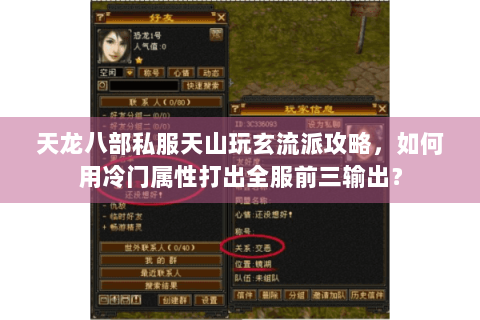 天龙八部私服天山玩玄流派攻略，如何用冷门属性打出全服前三输出？