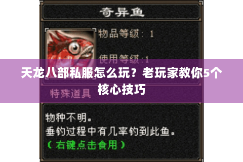天龙八部私服怎么玩？老玩家教你5个核心技巧