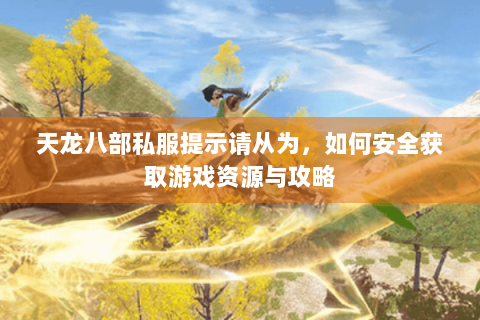 天龙八部私服提示请从为，如何安全获取游戏资源与攻略