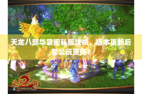 天龙八部华裳阁私服攻略，版本更新后怎么玩更爽？