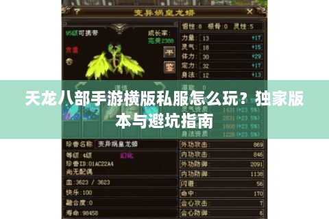 天龙八部手游横版私服怎么玩?独家版本与避坑指南 天龙八部手游横版私服怎么玩?独家版本与避坑指南
