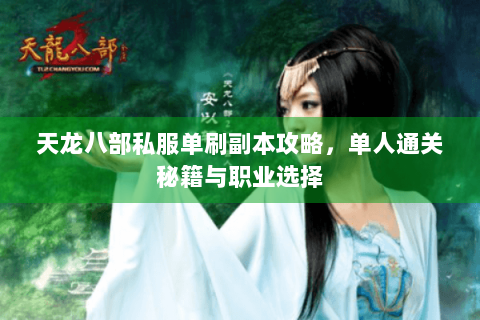 天龙八部私服单刷副本攻略，单人通关秘籍与职业选择