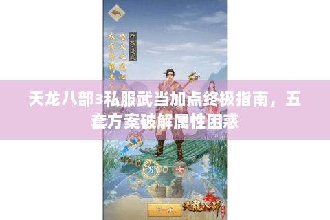 天龙八部3私服武当加点终极指南，五套方案破解属性困惑