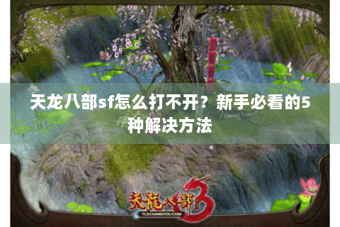 天龙八部sf怎么打不开？新手必看的5种解决方法