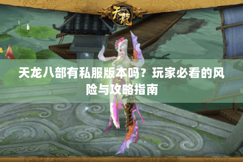 天龙八部有私服版本吗？玩家必看的风险与攻略指南