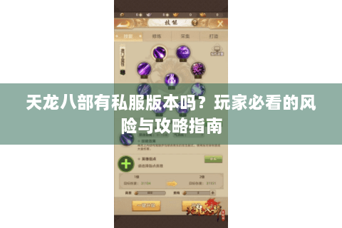 天龙八部有私服版本吗？玩家必看的风险与攻略指南
