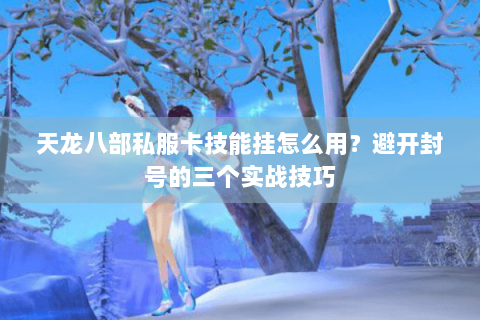 天龙八部私服卡技能挂怎么用？避开封号的三个实战技巧