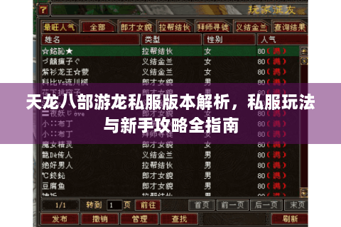 天龙八部游龙私服版本解析，私服玩法与新手攻略全指南