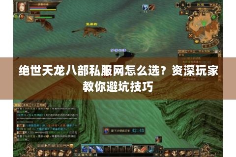 绝世天龙八部私服网怎么选？资深玩家教你避坑技巧