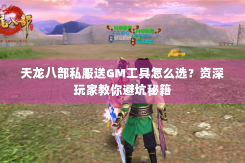 天龙八部私服送GM工具怎么选？资深玩家教你避坑秘籍