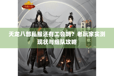 天龙八部私服还有工会吗？老玩家实测现状与组队攻略