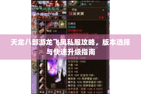 天龙八部游龙飞凤私服攻略，版本选择与快速升级指南