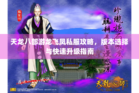 天龙八部游龙飞凤私服攻略，版本选择与快速升级指南