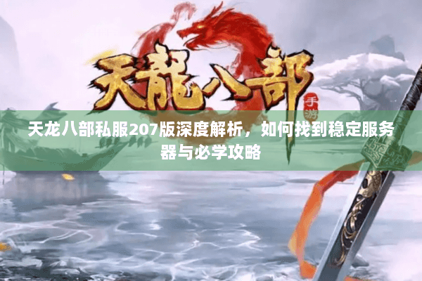 天龙八部私服207版深度解析，如何找到稳定服务器与必学攻略