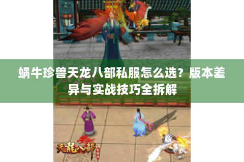 蜗牛珍兽天龙八部私服怎么选？版本差异与实战技巧全拆解