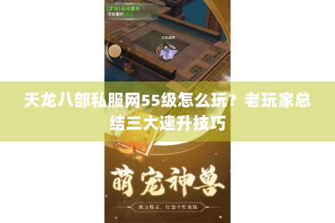 天龙八部私服网55级怎么玩？老玩家总结三大速升技巧