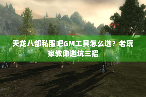 天龙八部私服吧GM工具怎么选？老玩家教你避坑三招