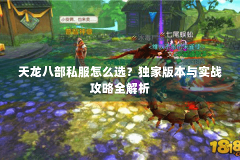 天龙八部私服怎么选？独家版本与实战攻略全解析
