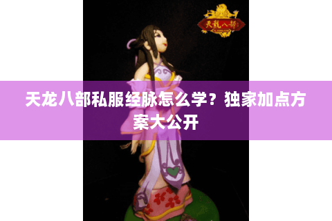 天龙八部私服经脉怎么学？独家加点方案大公开