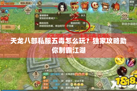 天龙八部私服五毒怎么玩？独家攻略助你制霸江湖