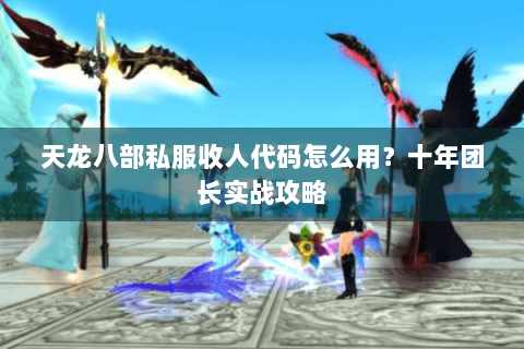 天龙八部私服收人代码怎么用？十年团长实战攻略