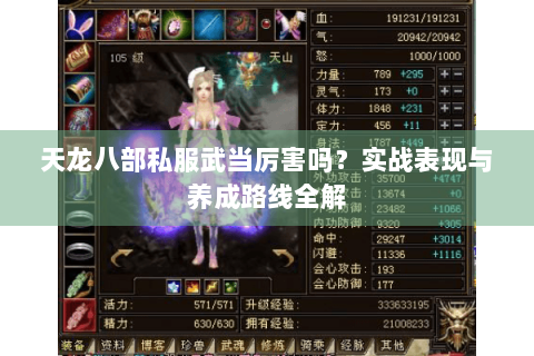 天龙八部私服武当厉害吗？实战表现与养成路线全解