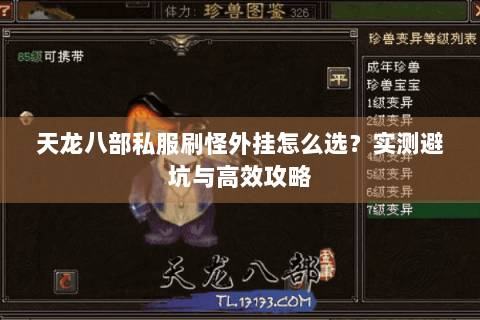 天龙八部私服刷怪外挂怎么选？实测避坑与高效攻略