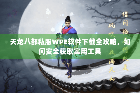 天龙八部私服WPE软件下载全攻略，如何安全获取实用工具