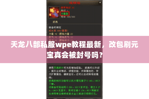 天龙八部私服wpe教程最新，改包刷元宝真会被封号吗？