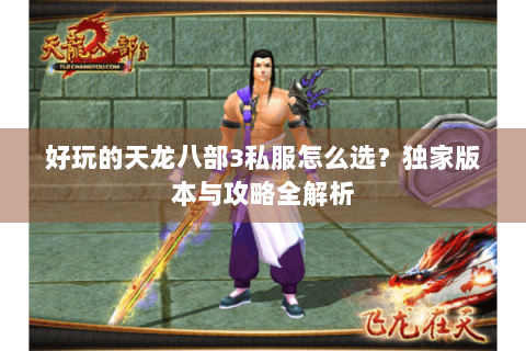 好玩的天龙八部3私服怎么选？独家版本与攻略全解析