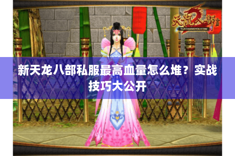 新天龙八部私服最高血量怎么堆？实战技巧大公开