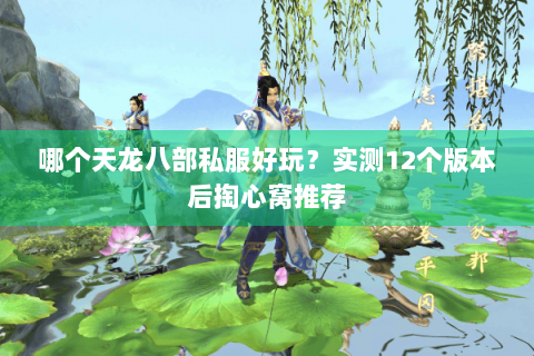 哪个天龙八部私服好玩？实测12个版本后掏心窝推荐