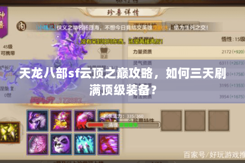 天龙八部sf云顶之巅攻略，如何三天刷满顶级装备？