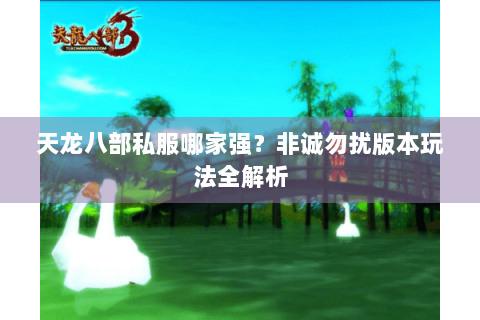 天龙八部私服哪家强？非诚勿扰版本玩法全解析