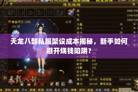 天龙八部私服架设成本揭秘，新手如何避开烧钱陷阱？