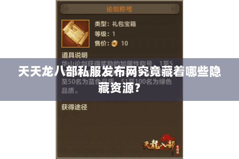 天天龙八部私服发布网究竟藏着哪些隐藏资源？