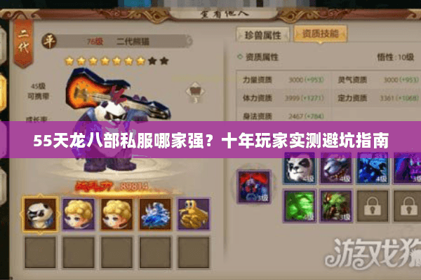 55天龙八部私服哪家强？十年玩家实测避坑指南