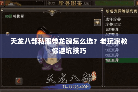 天龙八部私服带龙魂怎么选？老玩家教你避坑技巧