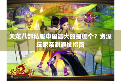 天龙八部私服中国最大的是哪个？资深玩家亲测避坑指南